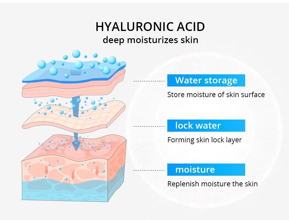 Diagram illustrating how hyaluronic acid works to deeply moisturize skin at different layers for water storage and moisture lock.